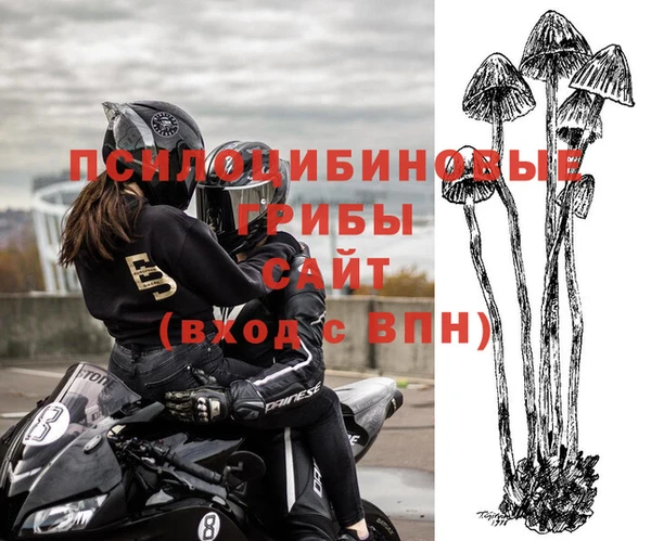 герыч Алексин