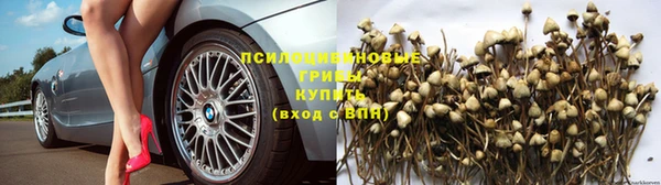 круглые Алзамай