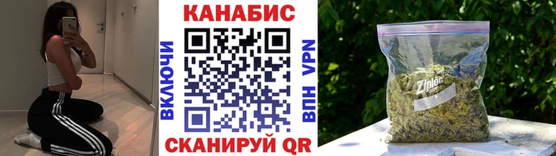 darknet Telegram  Сасово  Конопля сатива 